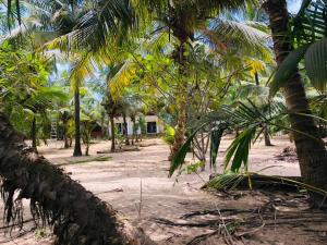 a bunch of palm trees on a sandy beach at Sun Ray Beach Villa in Ranna +4 photos