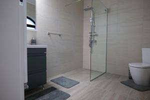 a bathroom with a shower and a toilet and a sink at Pensiunea Agroturistica Darius in Baia de Fier