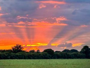 a sunset over a field with a sky with clouds at Orchard House - Uk48580 in Rochford