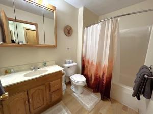 a bathroom with a toilet and a sink and a shower at North Country Retreat in Saint Ignace +18 photos