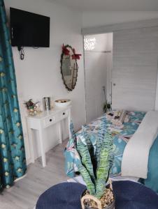 a bedroom with a bed and a potted plant at Lakafrine in Le Tampon