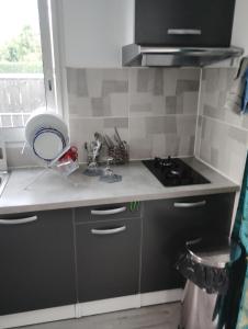 a kitchen with a sink and a stove at Lakafrine in Le Tampon