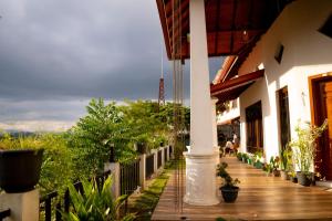 Κήπος έξω από το Relax Villa