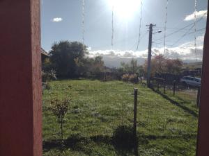 En have udenfor Casa Bogdi &Cata