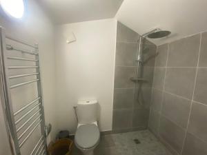 a bathroom with a toilet and a shower at Chalet Olisios, priate accommodation in beautiful countryside location in Pampelonne