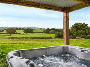 a bath tub with a view of a field at The Cabin in Llangadog