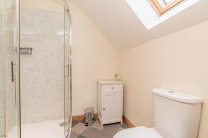 a bathroom with a shower and a toilet at Maes-Artro-Lodge in Llanbedr +24 photos