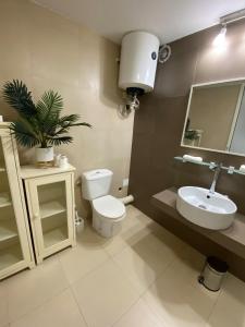 a bathroom with a white toilet and a sink at Sea view Marigot pool studio in Saint Martin +10 photos