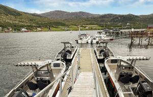 Nice Apartment In Kvalsund With Wifi في Kvalsund: مجموعة من القوارب مرساة على رصيف في الماء