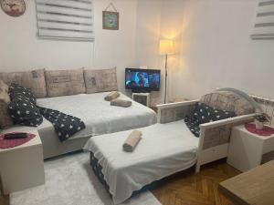 a living room with two beds and a tv at Bohemian Rhapsody low ground studio in Belgrade