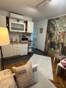 a living room with a couch and a kitchen at Bohemian Rhapsody low ground studio in Belgrade