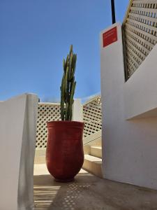 una planta en una olla roja sentada en un balcón en Miostello Lifestyle Riad Marrakech, en Marrakech 35 fotos más
