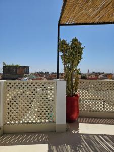 a balcony with a fence and a potted plant at Miostello Lifestyle Riad Marrakech in Marrakech +35 photos