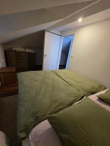 une chambre avec un lit avec une couverture verte dessus dans l'établissement HANO-divina, à Partizánske