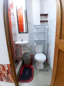 a small bathroom with a toilet and a sink at OASIS Cusco in Cusco
