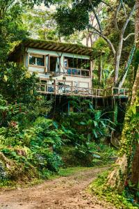 a house on the side of a dirt road at Jungle Spirit Treehouse in Cahuita