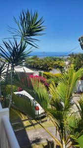 Peisaj natural din apropierea acestei vile