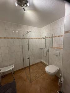 a bathroom with a shower and a toilet in it at Karos-Apartment in Mittersill
