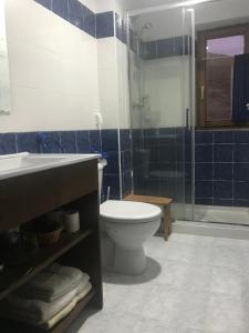Un baño con inodoro, ducha y lavabo. en Apartamentos Besande, en Besande