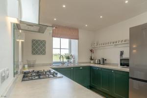 Una cocina con gabinetes verdes y una estufa. en Erw-Dinmael, en Cerrig-y-Druidion
