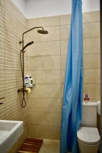 a bathroom with a shower with a blue shower curtain at Villa Lu Bartolo - Room Rose in Taʼ Lampuka