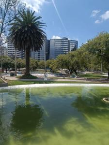 a pool of water in a park with a palm tree at 402 El Jardín Apartamento La Carolina Quito in Quito