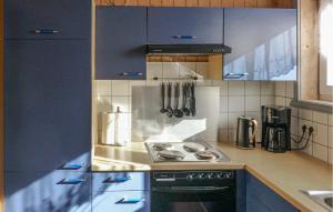 eine Küche mit blauen Schränken und einem Herd in der Unterkunft Pet Friendly Home In Rechlin With Sauna in Rechlin