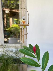 Un pájaro posado en un comedero para pájaros en un edificio. en Rest Place In Trancoso, en Porto Seguro 35 fotos más