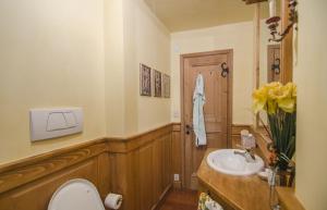un bagno con un water e un lavandino di 273 - Casa Cristallo a Cortina dʼAmpezzo Altre 13 foto