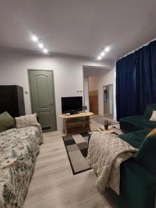 a living room with a couch and a tv at Akácvirág Airport Bogi Apartman in Debrecen
