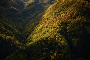 an aerial view of a mountain with trees at K7- Bunker in Kapan +4 photos