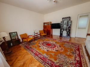 a living room with a rug on the floor at Casa RusTic in Turda