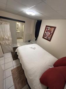 a bedroom with a large bed in a room at Logement entier proche de tout in Bellegarde-sur-Valserine