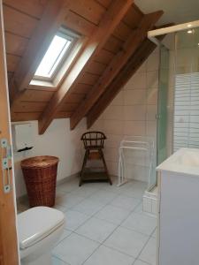 a bathroom with a toilet and a glass shower at Gîte À L'ancienne Boulangerie in Elsenheim