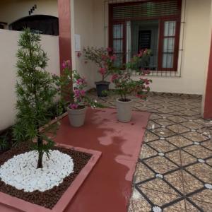 Κήπος έξω από το Casa Soure