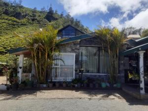 a house with palm trees in front of it at Happy inn in Nuwara Eliya