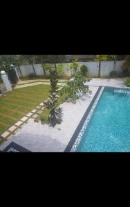 a swimming pool with a palm tree next to it at Floating castle villa in Avissawella