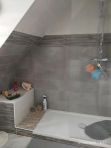 bagno con doccia e vasca bianca di Les chambres de Florence a Saint-Jouan-de-lʼIsle Altre 17 foto