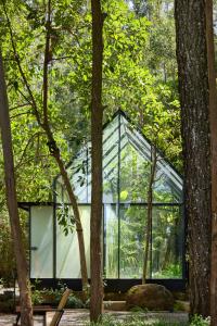 a glass house in the woods with trees at Kaya Retreat in Diyatalawa +38 photos