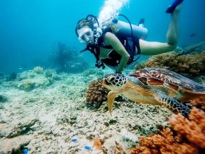 ギリ・トラワンガンにあるfulles guest houseの海の中の人と水中のカメ