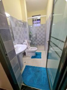 a bathroom with a sink and a toilet with blue mats at Mango Court in Nairobi