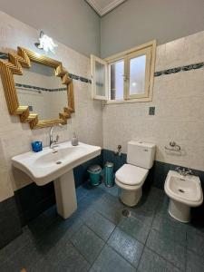 a bathroom with a sink and a toilet and a mirror at Vintage house overlooking the statue of Leonidas in Sparti +16 photos