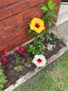 un giardino fiorito con fiori gialli e rossi di Quarto em casa aconchegante a Cabo Frio