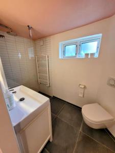 une salle de bain avec un lavabo et des toilettes et une fenêtre dans l'établissement Villa Fuga kælderlejlighed, à Jelling