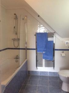 a bathroom with a shower and a tub and a toilet at Riverside Cottage B&B in Cladich