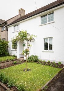 a tree in the yard of a white house at Spacious 3 Bed Cottage Near Beaches in Georgeham