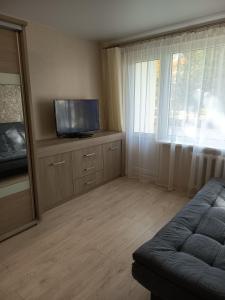 ein Wohnzimmer mit Couch und Flachbildfernseher in der Unterkunft Vieno kambario butas Šiauliuose in Šiauliai