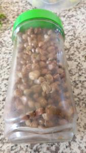 马拉喀什Chez l'artiste的柜台上放着一个装满豆子的玻璃罐