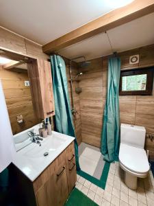 RybczyznaChata Chochlika的浴室里有马桶、洗手池和淋浴。