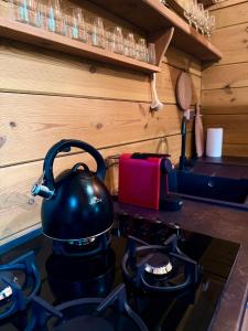 RybczyznaChata Chochlika的厨房炉子上的茶壶
